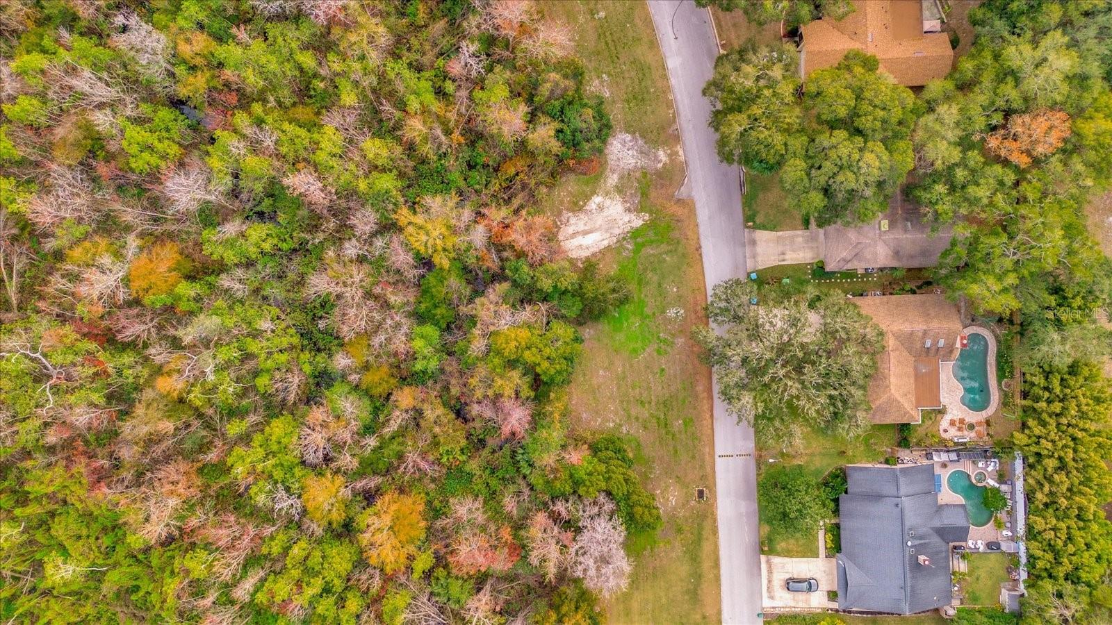 109 Citrus Tree Ln Property Photo 9