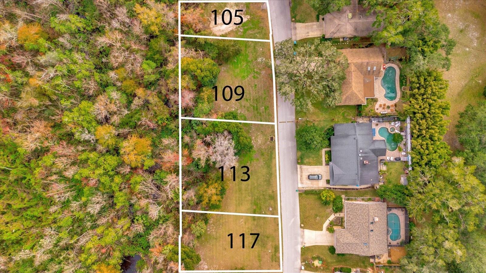 113 Citrus Tree Ln Property Photo 6