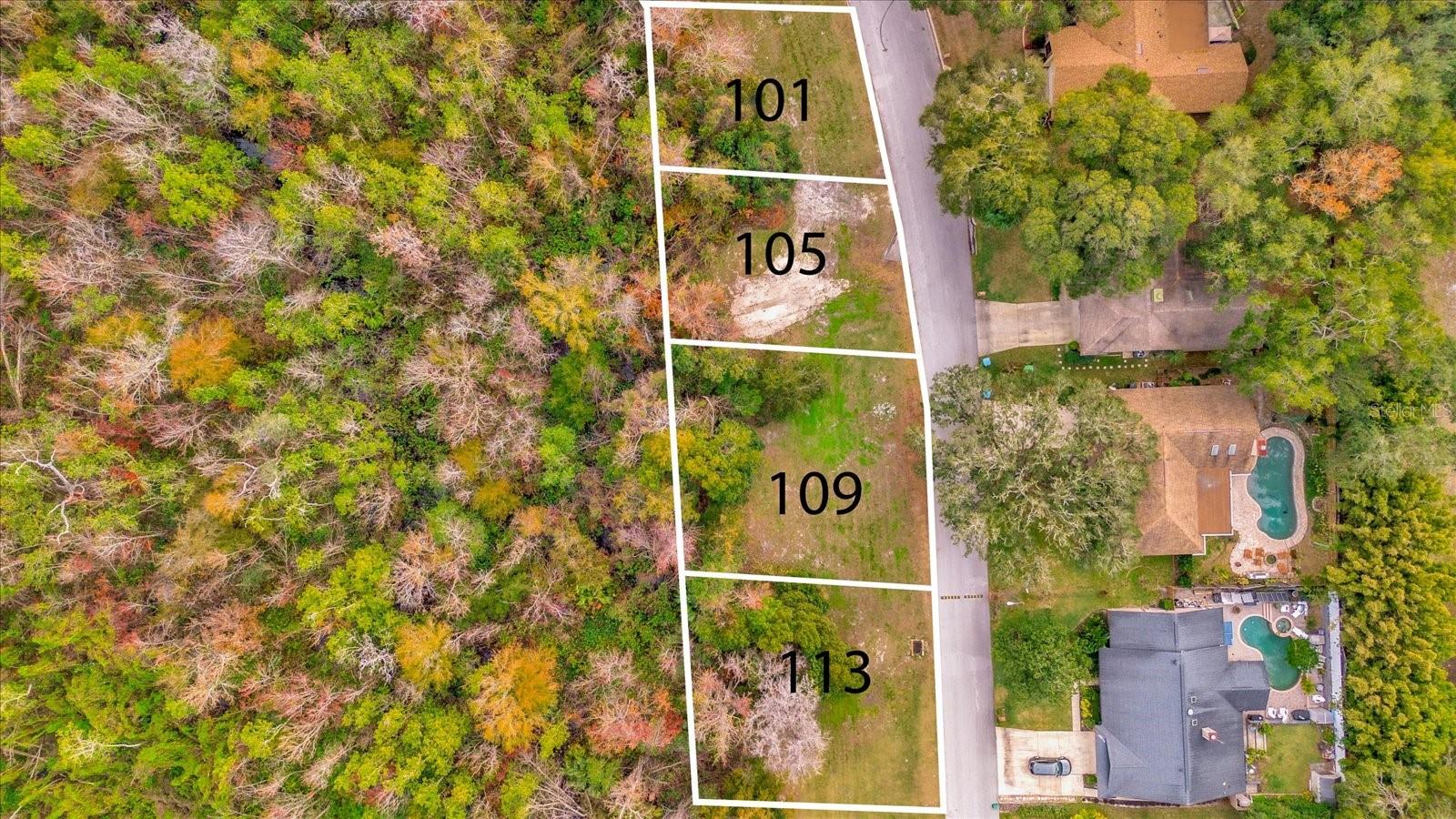 113 Citrus Tree Ln Property Photo 8