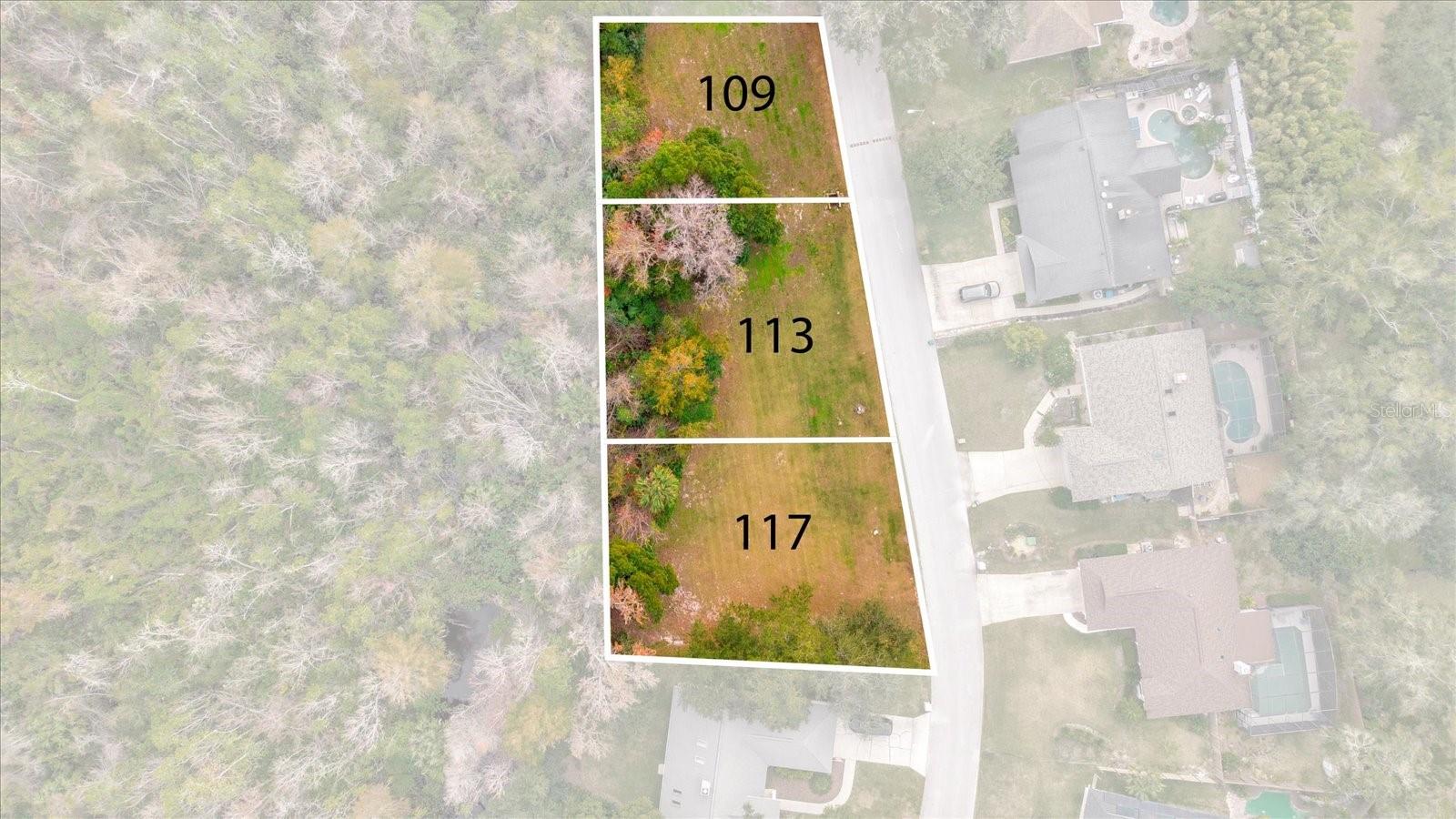 113 Citrus Tree Ln Property Photo 14