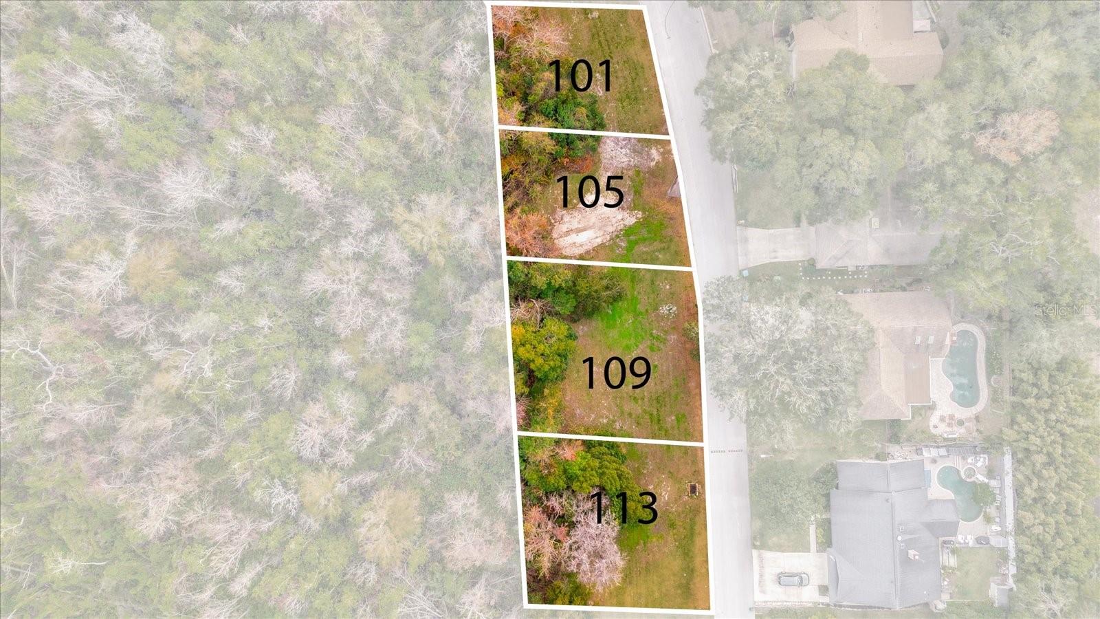 113 Citrus Tree Ln Property Photo 15