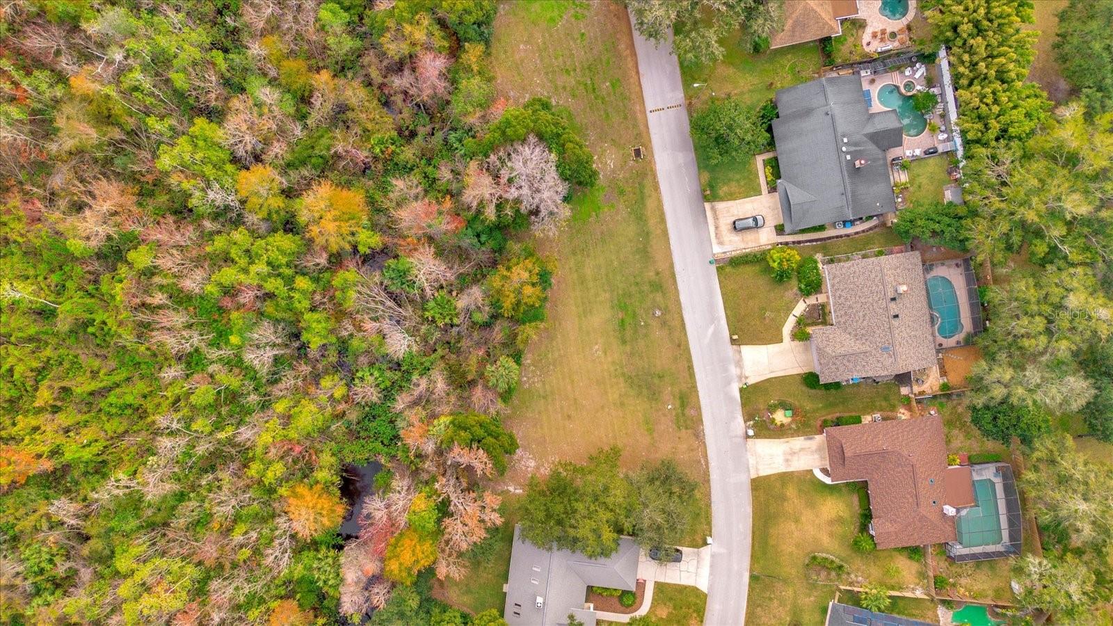 117 Citrus Tree Ln Property Photo 3