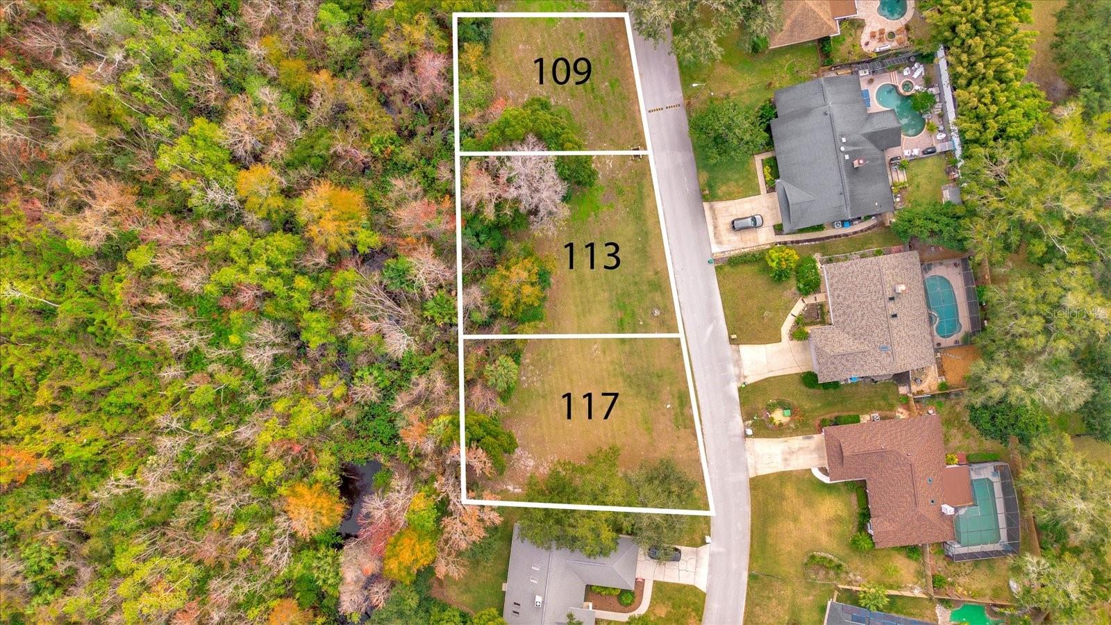 117 Citrus Tree Ln Property Photo 5