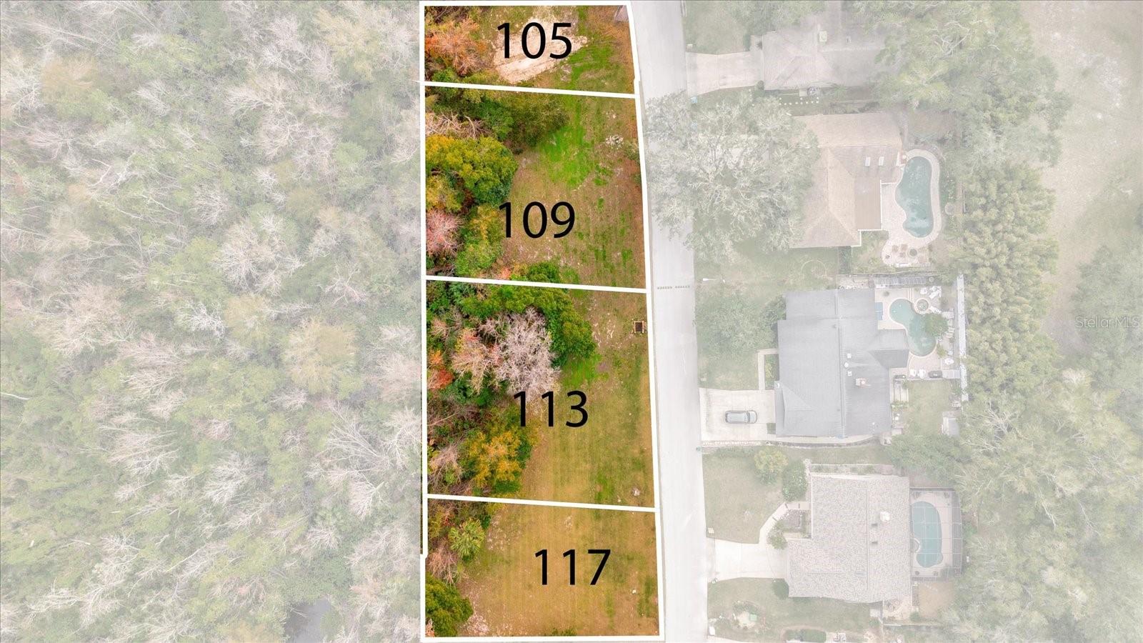 117 Citrus Tree Ln Property Photo 12