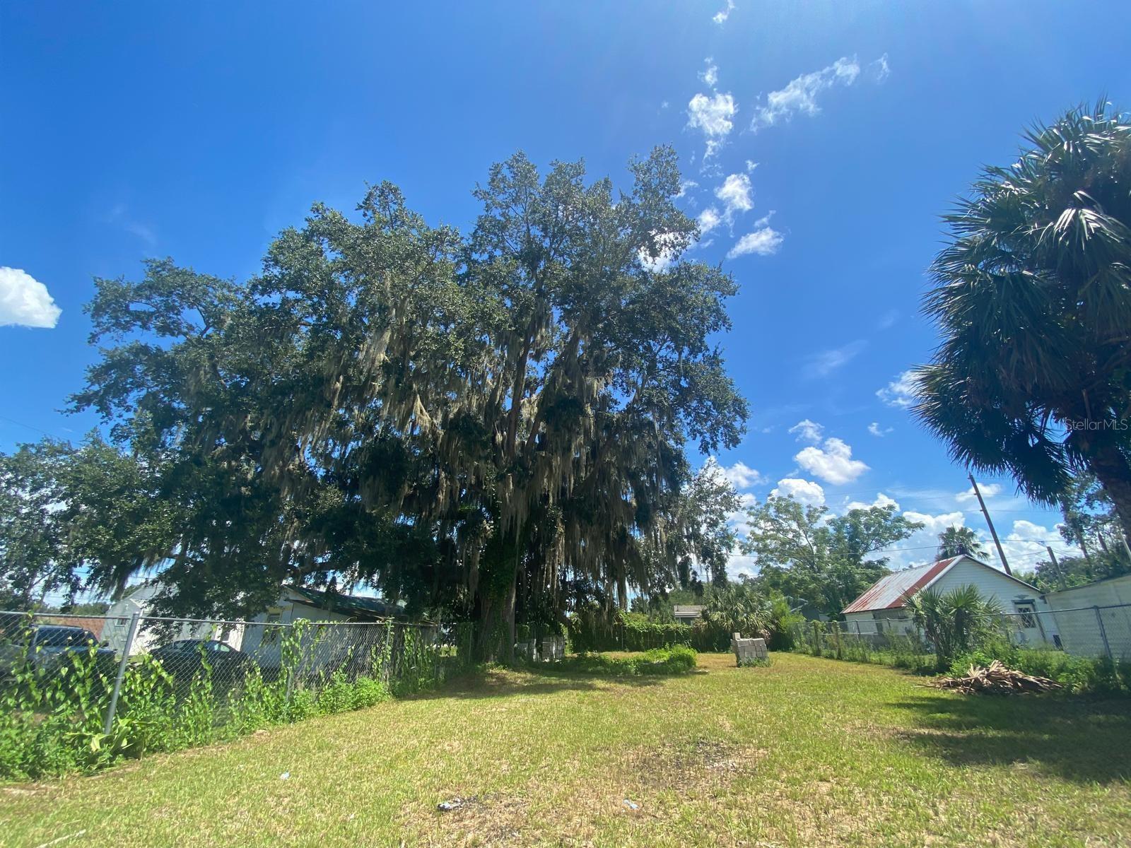 1551 Immokalee St Property Photo 18
