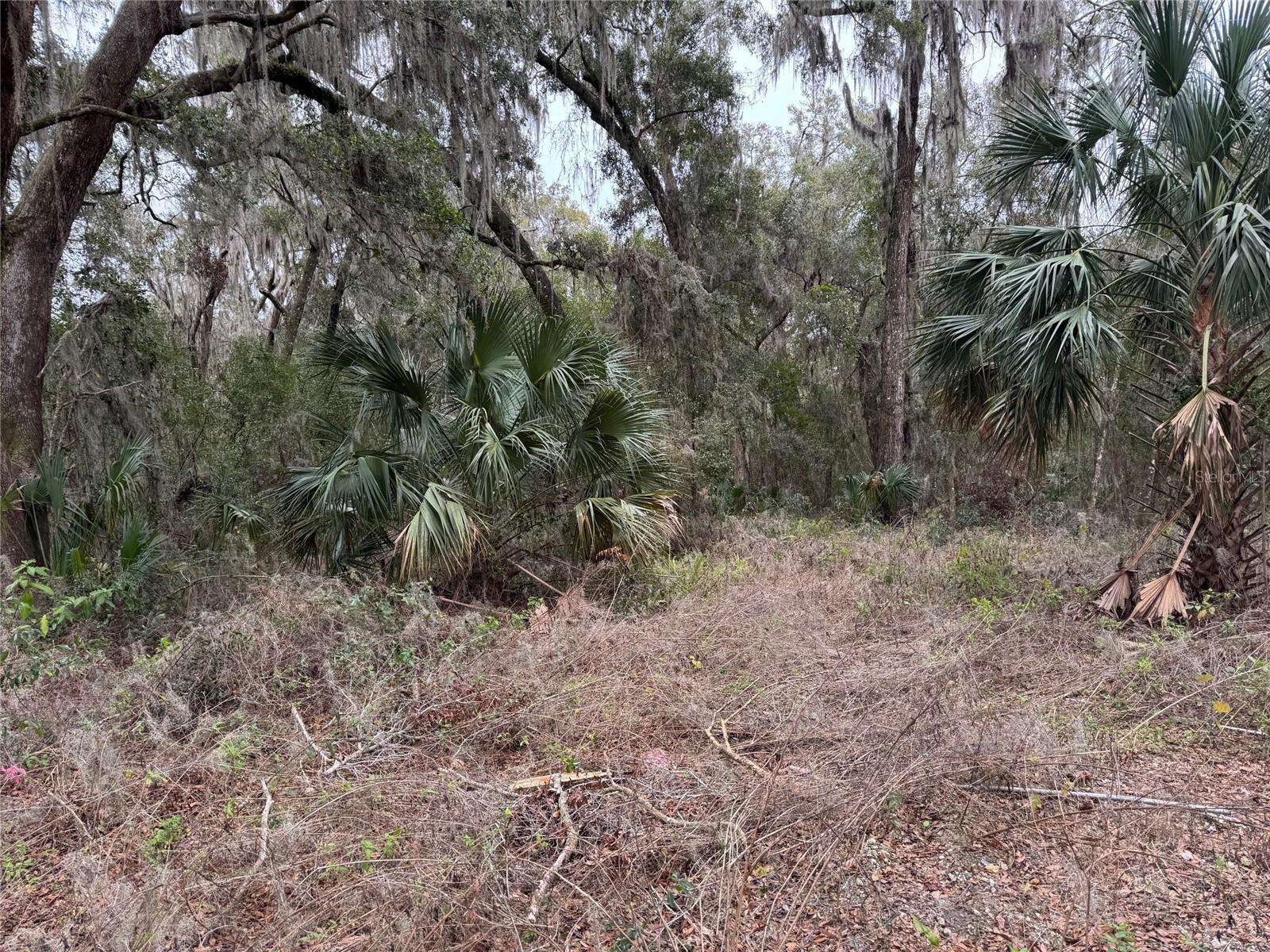 Strickland Ave Property Photo 2