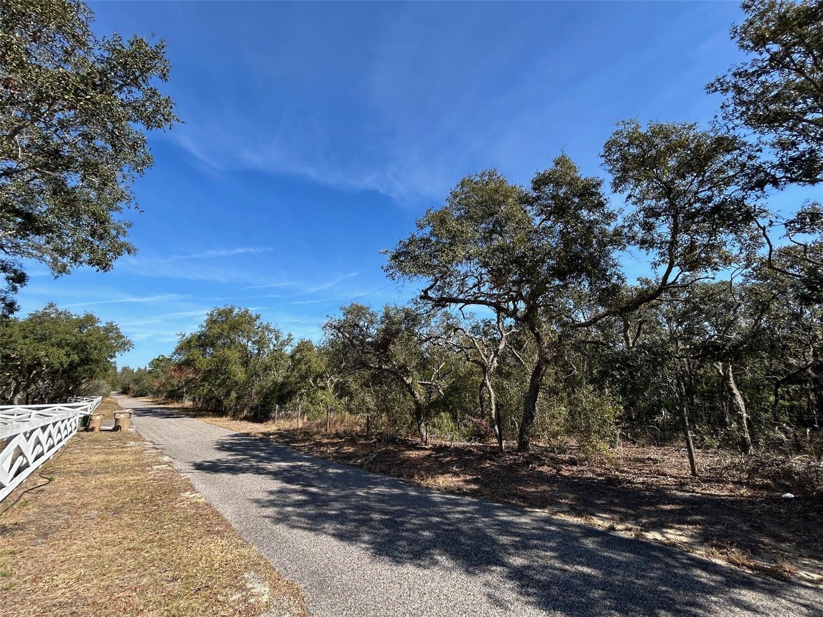 0 Black Bear Ln Property Photo 1