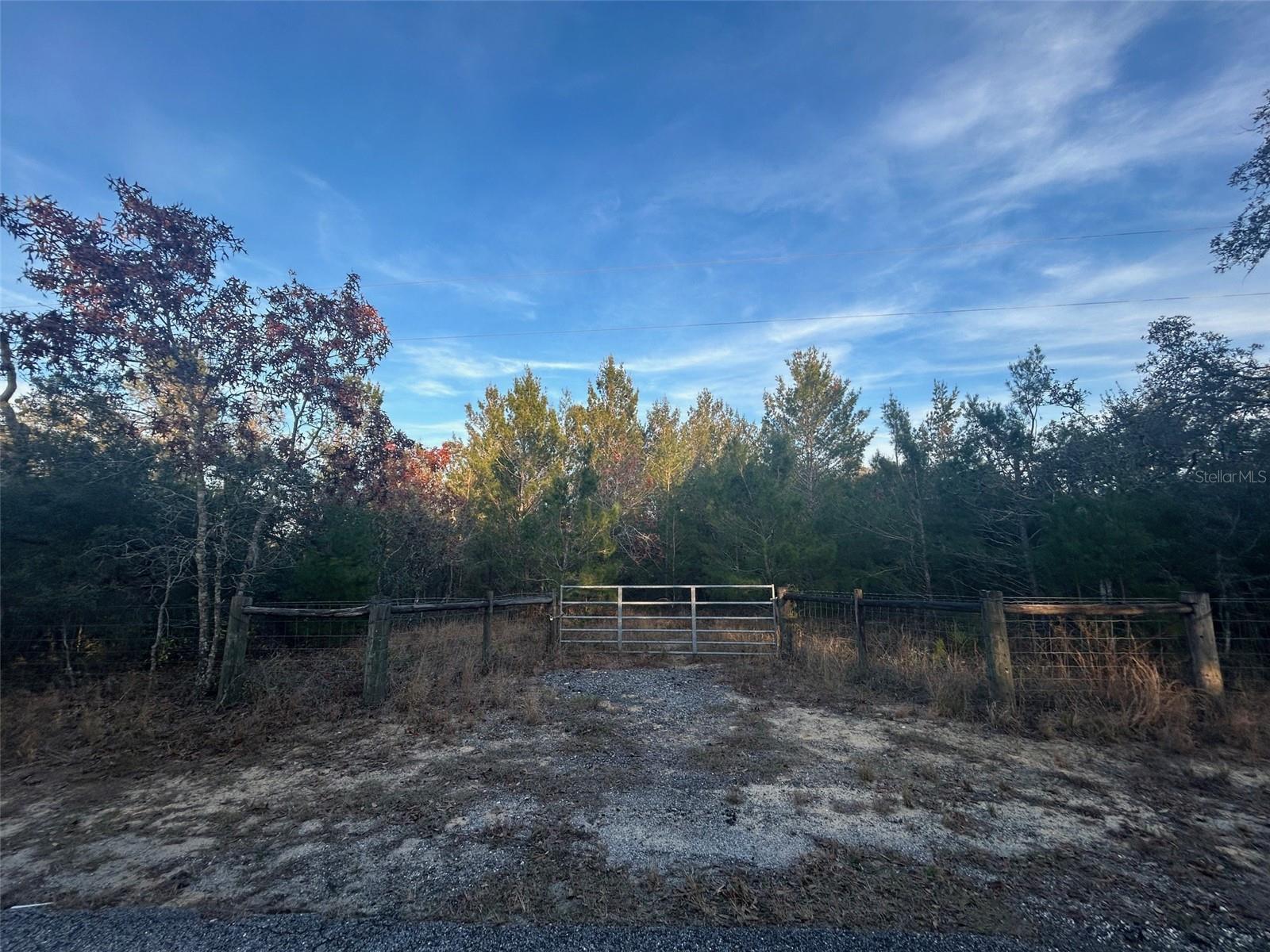 0 Black Bear Ln Property Photo 4