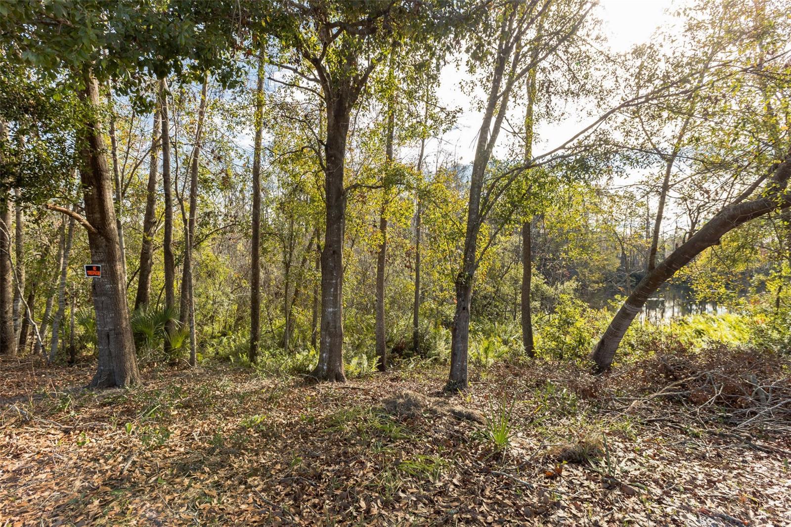 Lot 13 Eagle Blvd Property Photo 15