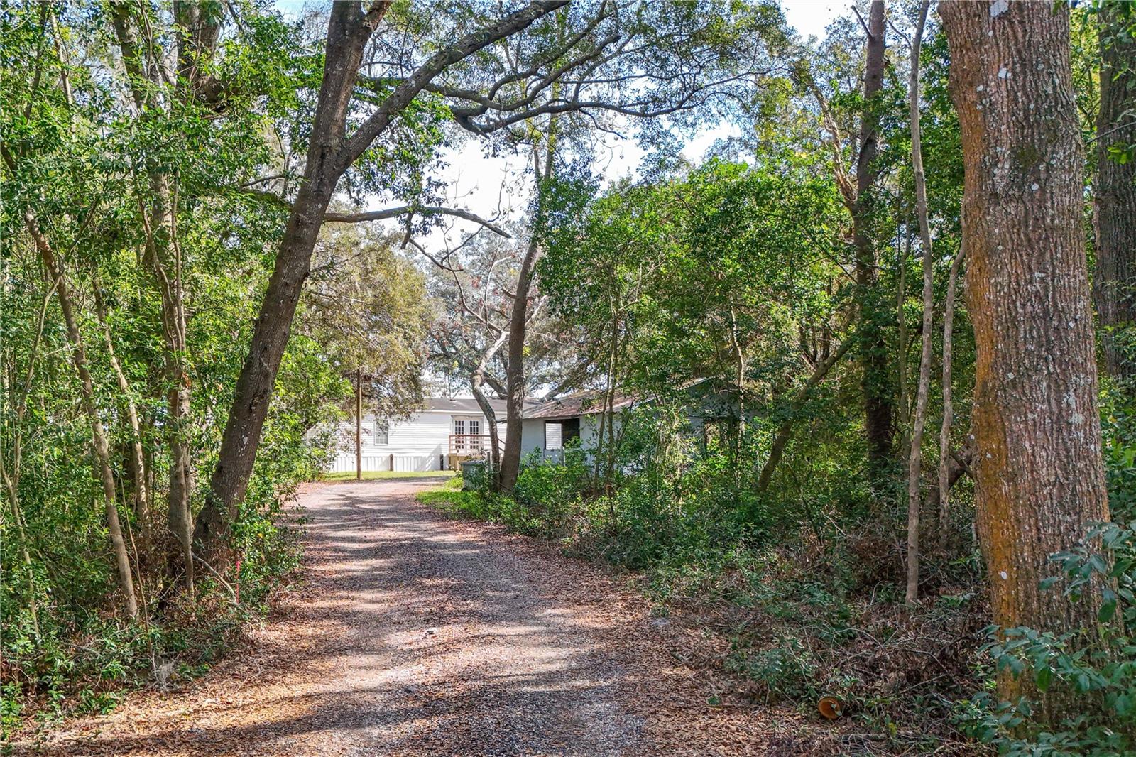 344 W Ponkan Rd Property Photo 13
