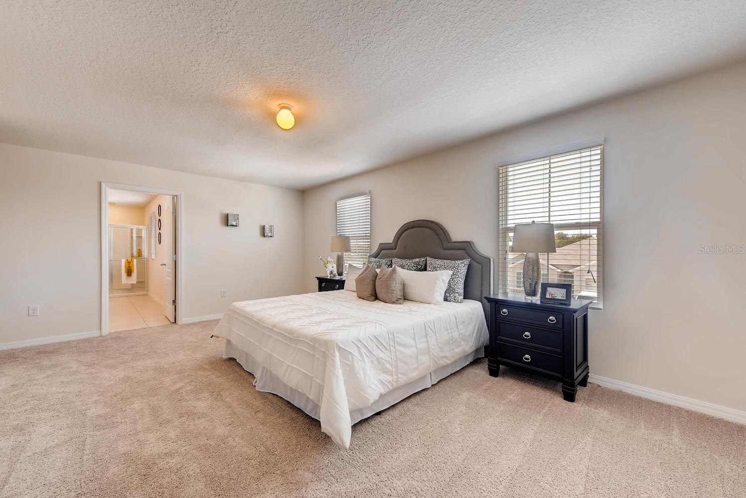 3813 Royal Azalea Way Property Photo 12