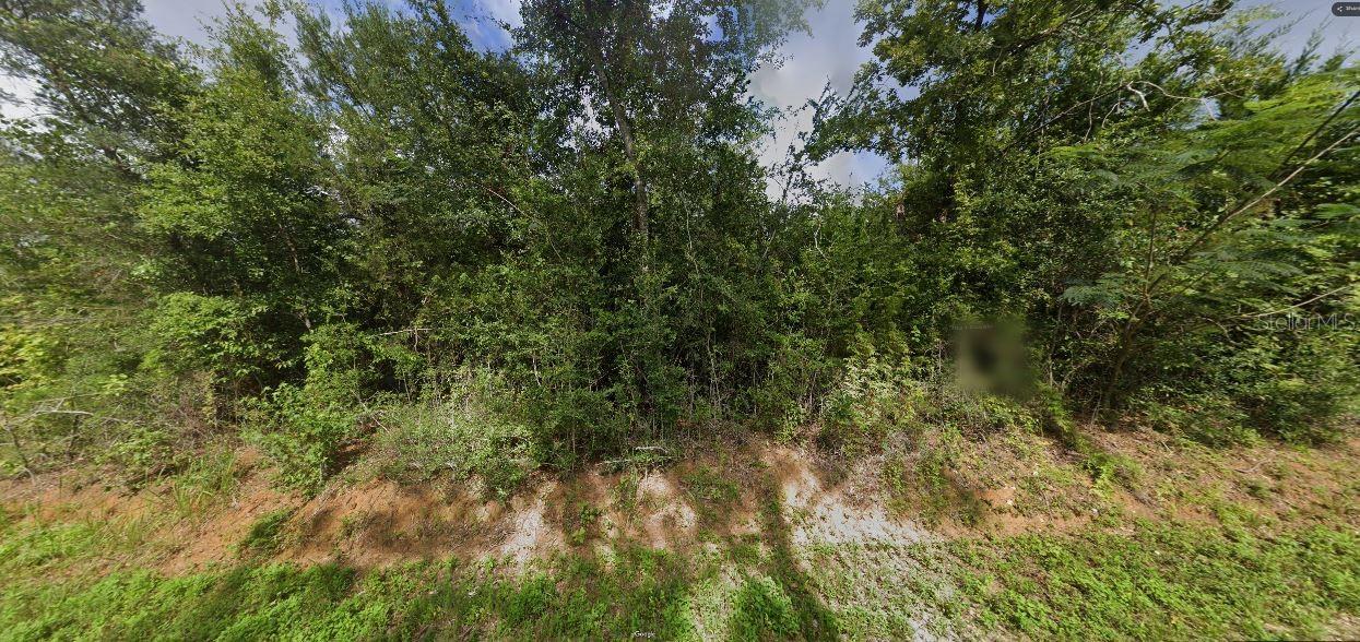 Leland Rd Property Photo 10