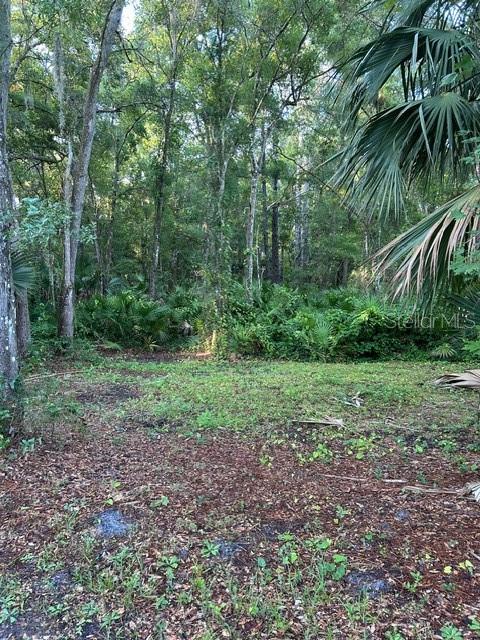 O6280373 Property Photo 11