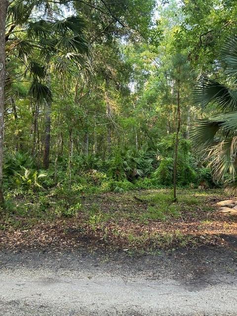 O6280373 Property Photo 12