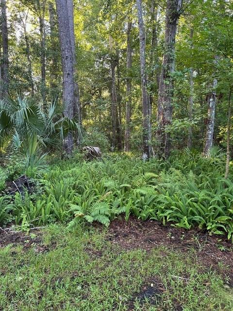 O6280373 Property Photo 13