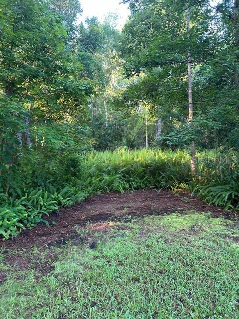 O6280373 Property Photo 14