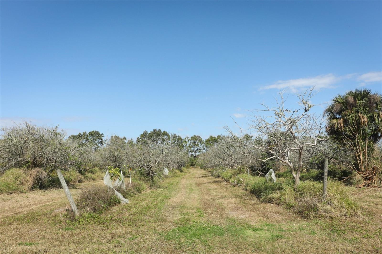 0 Davis Rd Property Photo 31
