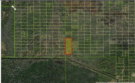 Holopaw Groves Rd Property Photo 5