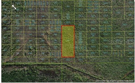 Holopaw Groves Rd Property Photo 6