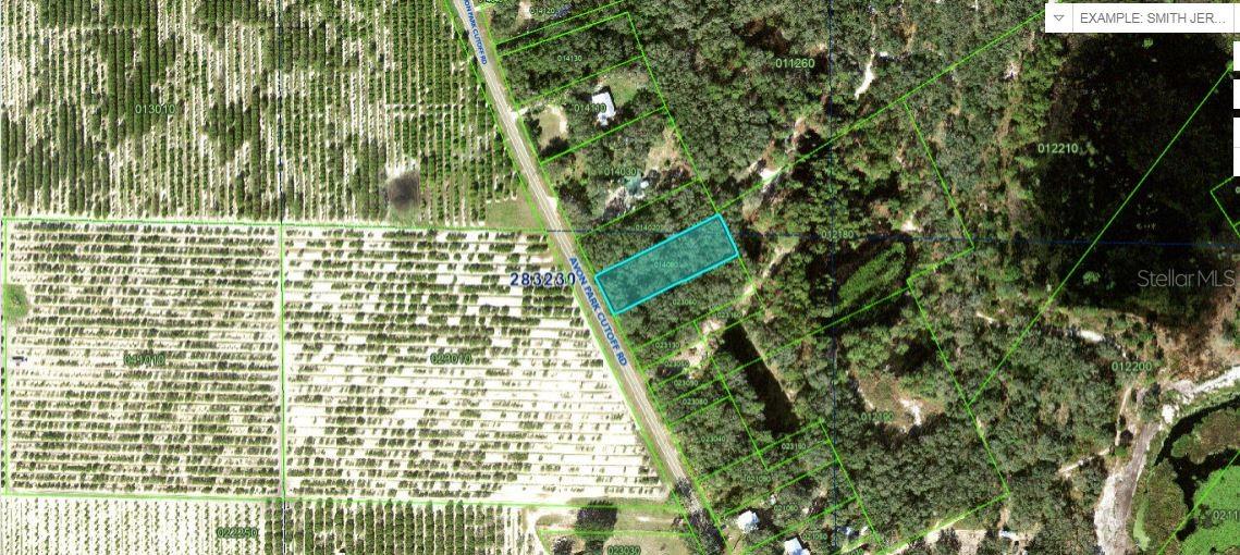 Avon Park Cutoff Rd Property Photo 1