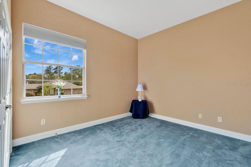 1601 Billingshurst Ct Property Photo 30
