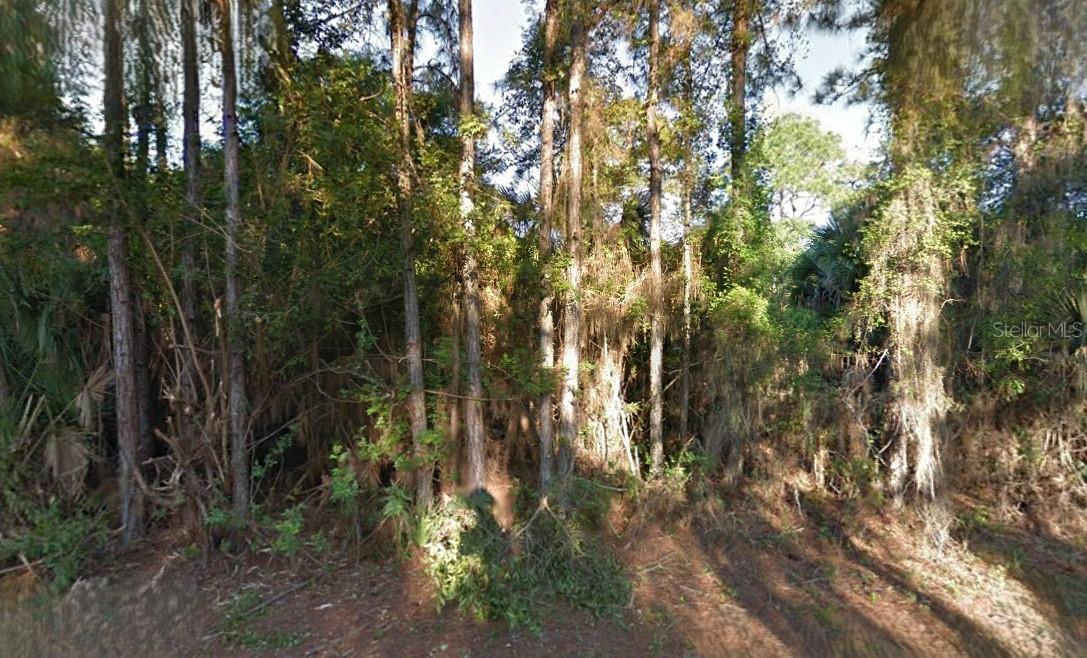 Lutz Rd Property Photo 1