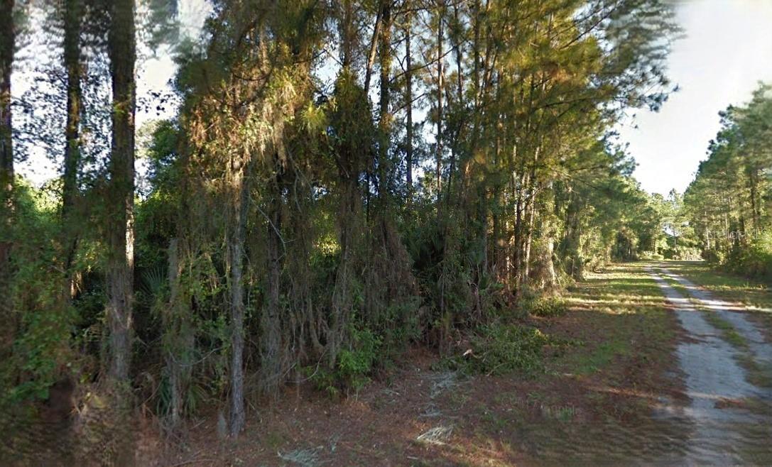 Lutz Rd Property Photo 2