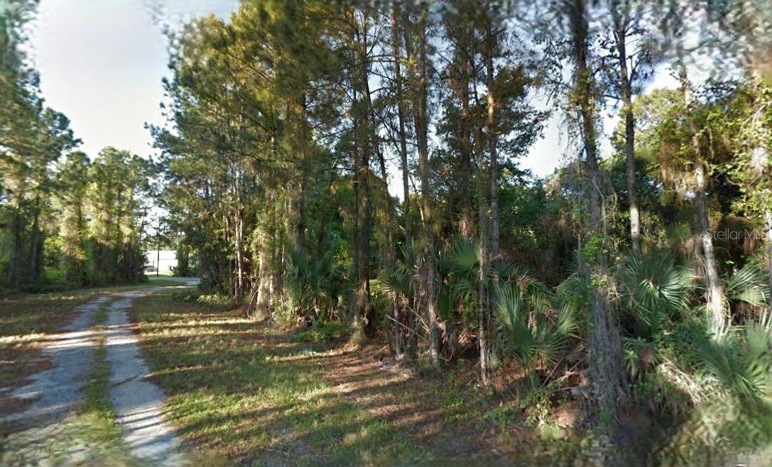 Lutz Rd Property Photo 3
