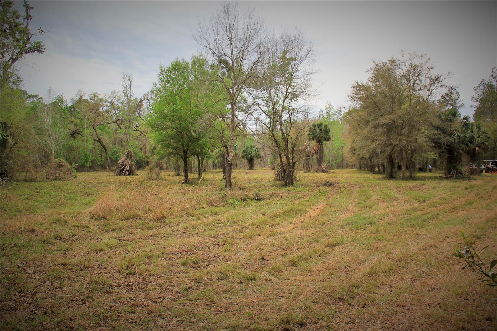 Cr 772b Property Photo 8