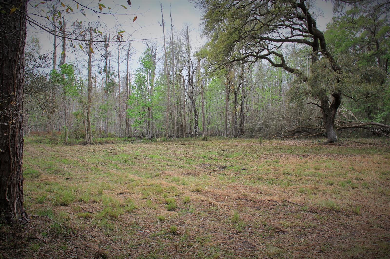 Cr 772b Property Photo 10