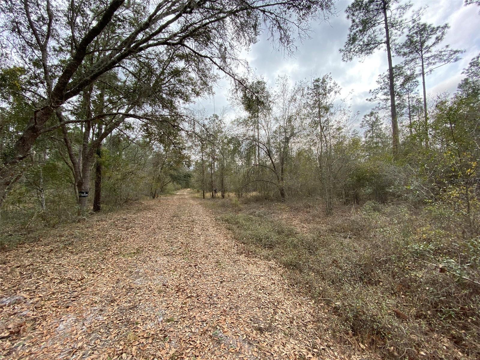 Cr 772b Property Photo 18