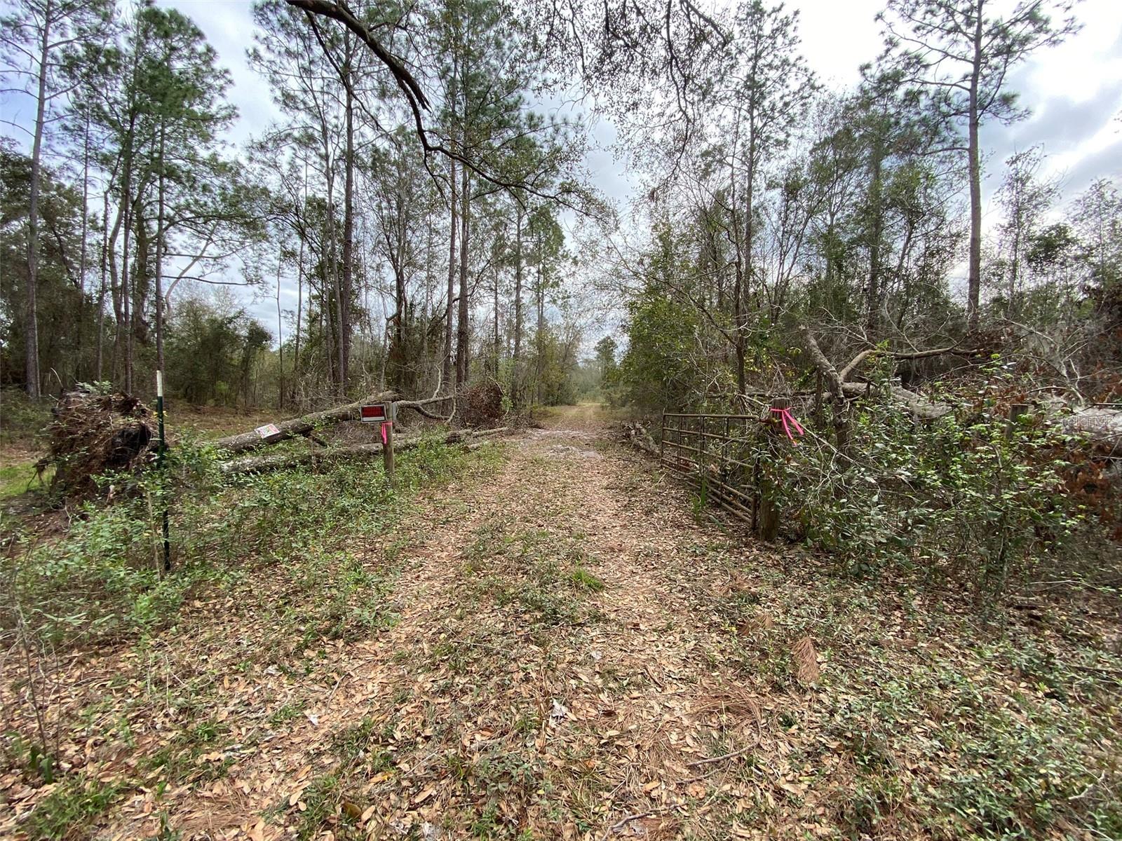 Cr 772b Property Photo 19