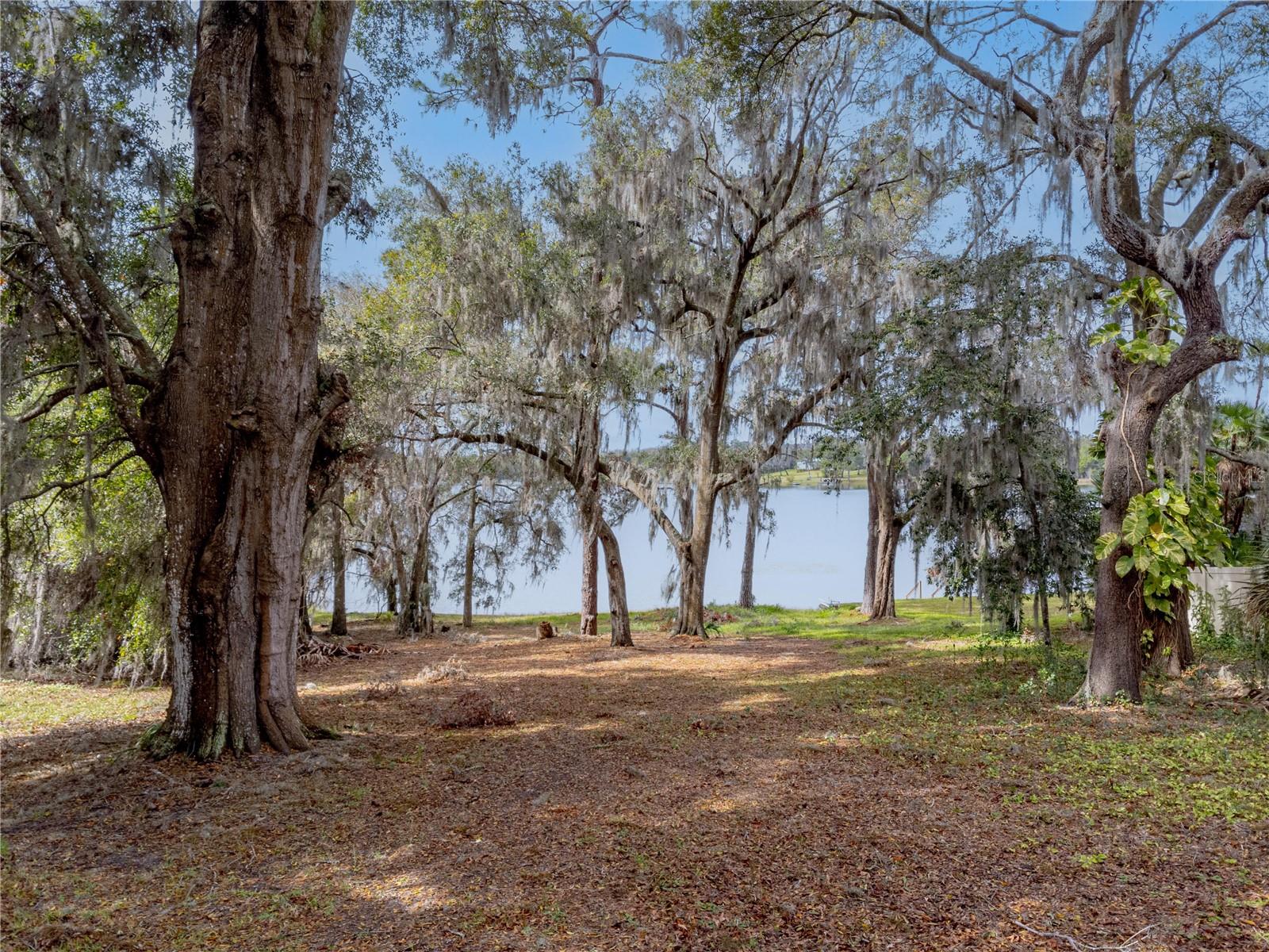 Silver Dr Property Photo