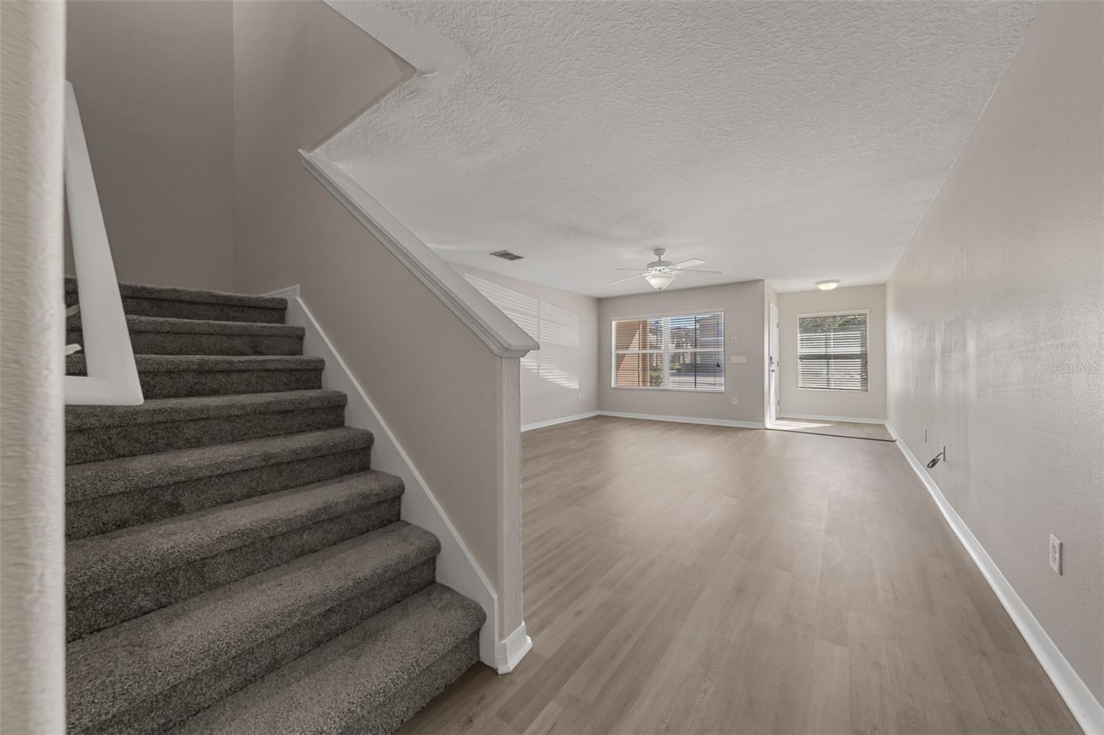 248 Carina Cir Property Photo 6