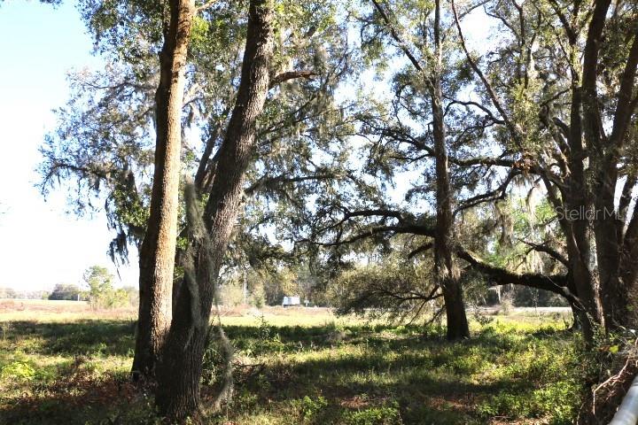 Cr 48 Property Photo 16