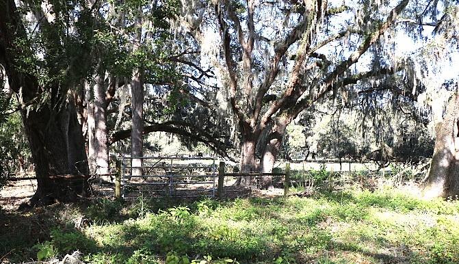 Cr 48 Property Photo 17