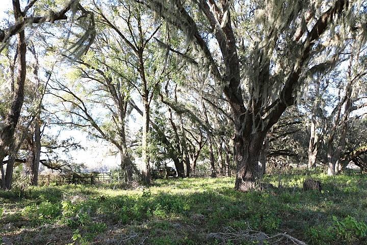 Cr 48 Property Photo 21