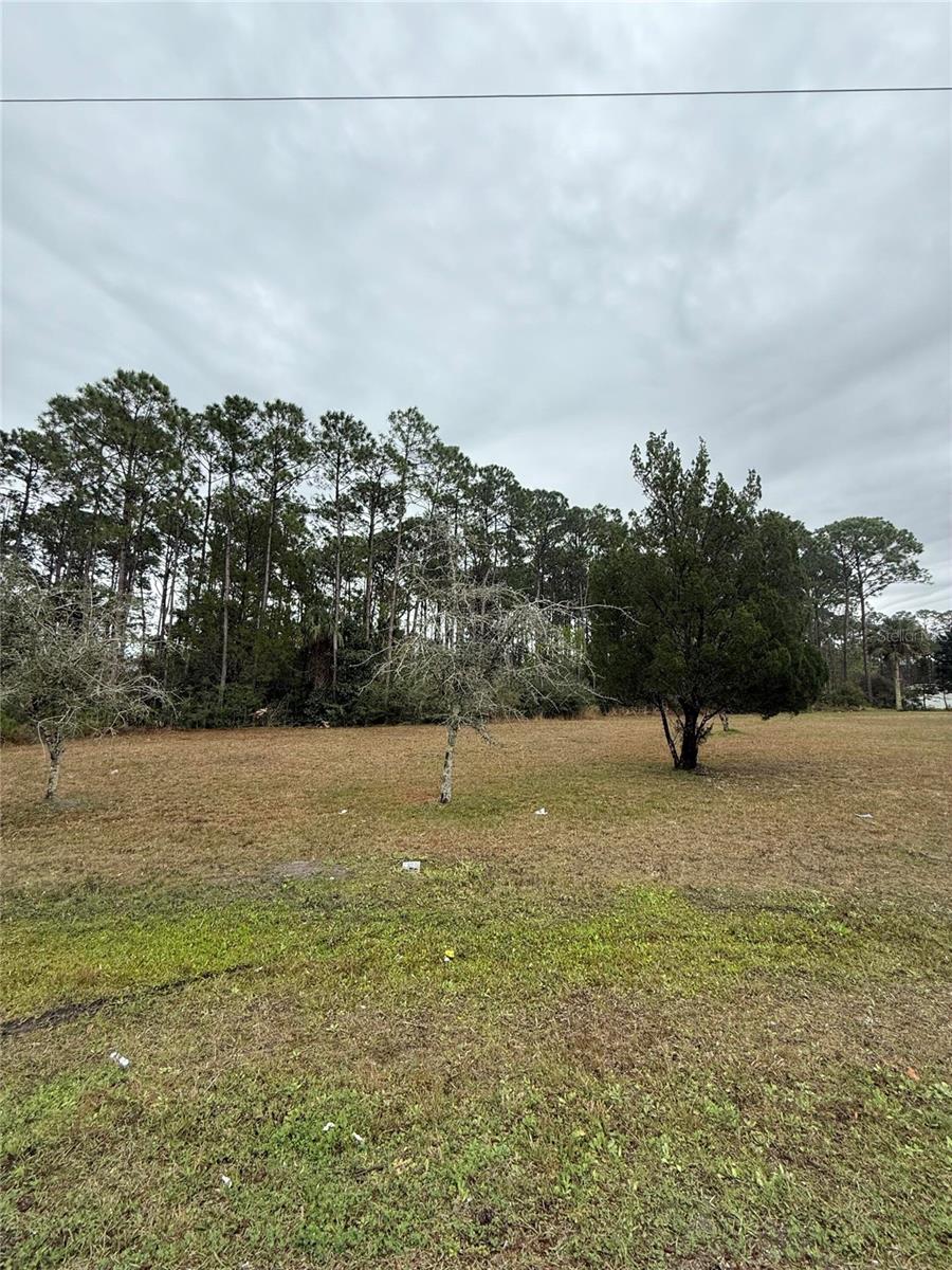 245 ULLIAN TRL Property Photo 1