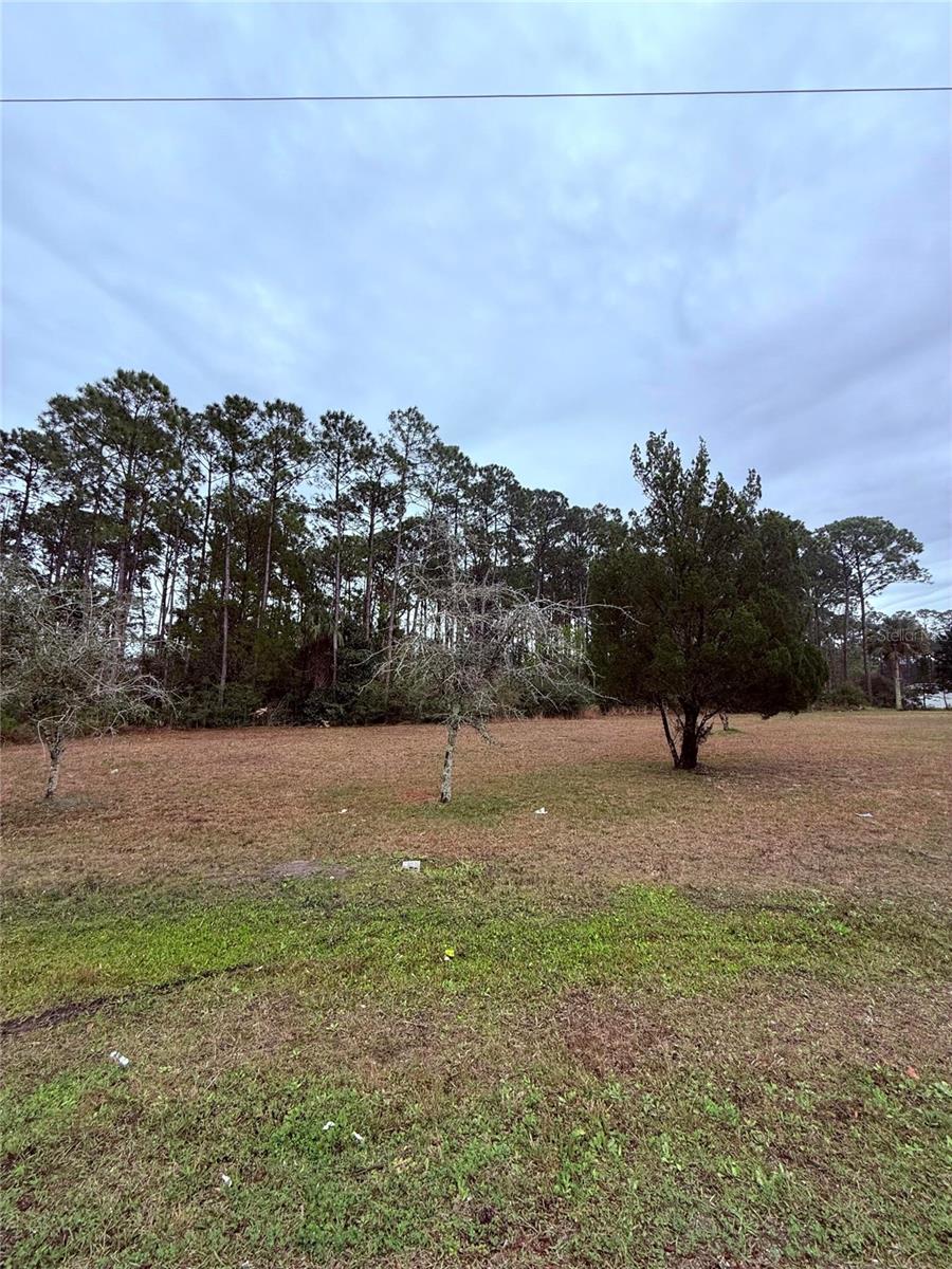 245 Ullian Trl Property Photo 2