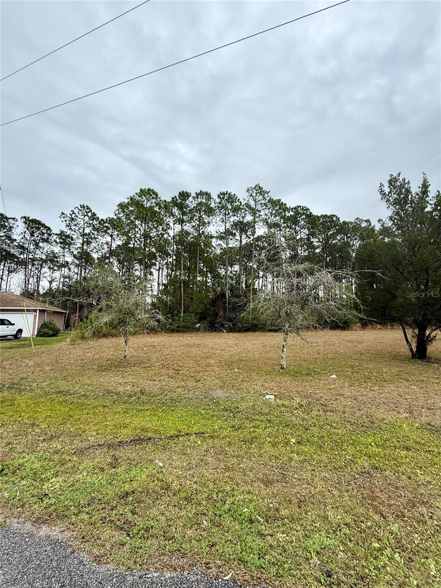 245 Ullian Trl Property Photo 3