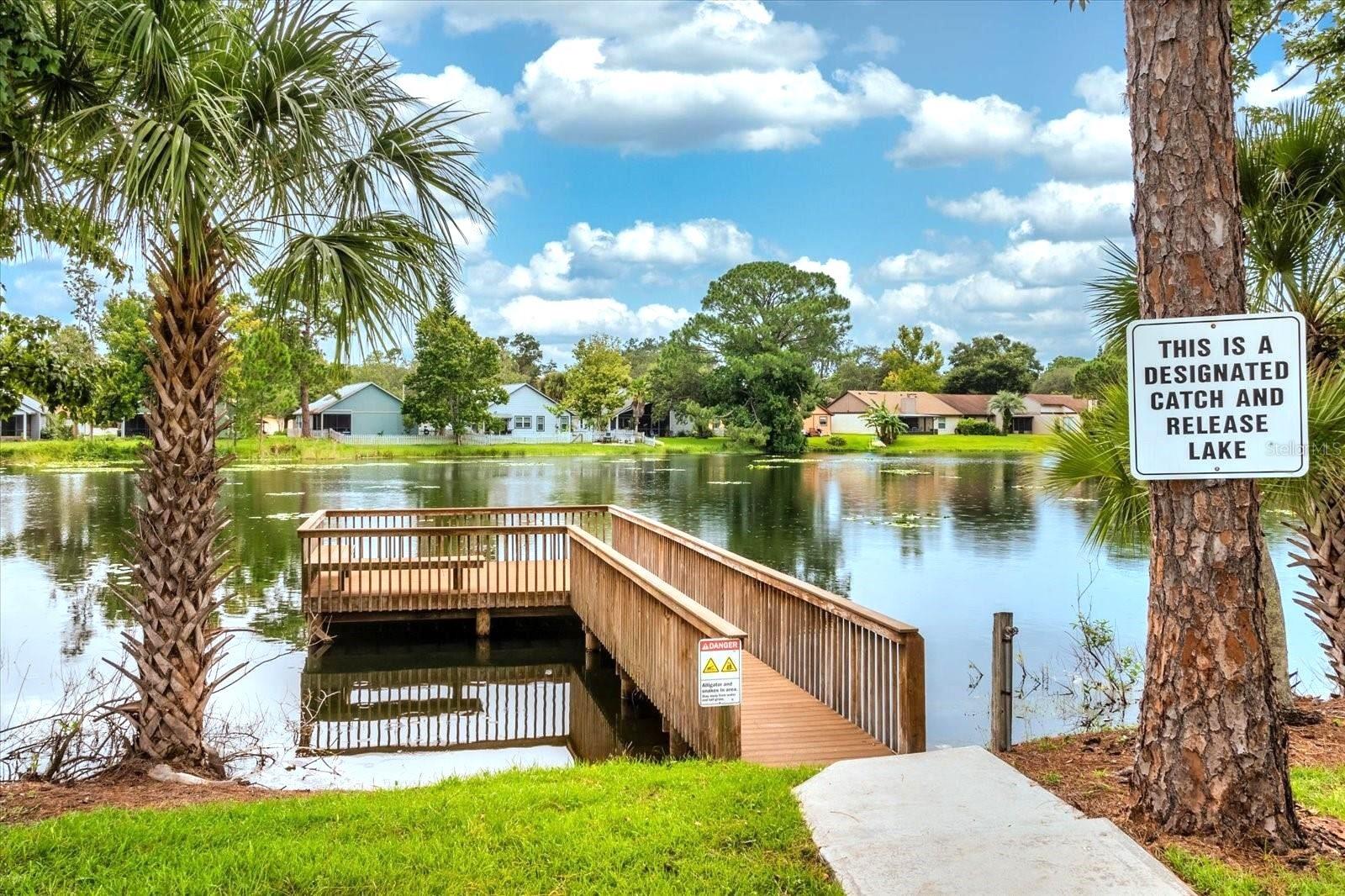 142 Long Leaf Pine Cir Property Photo 36