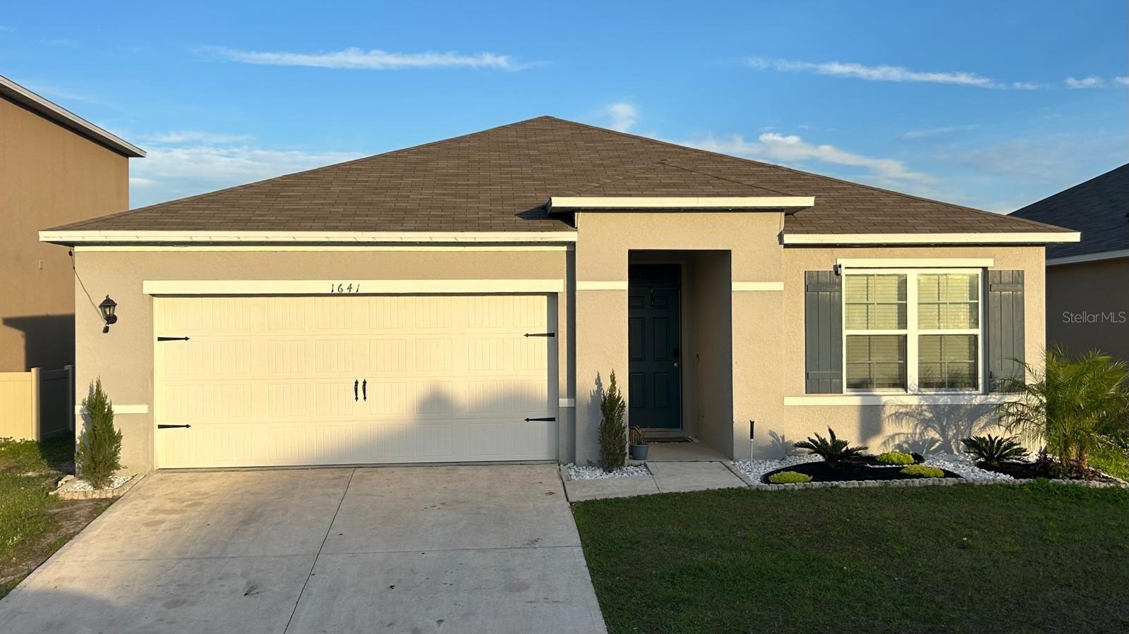 1641 Reddish Egret Property Photo