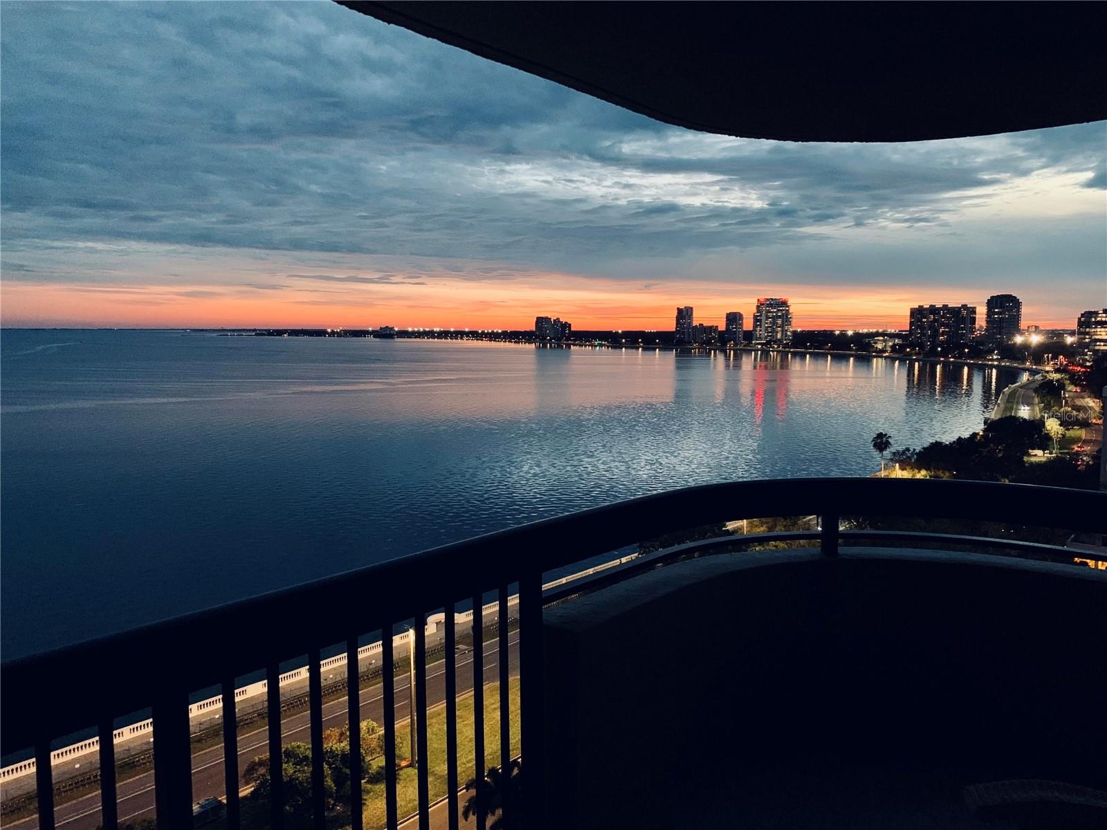2413 Bayshore Blvd #1404 Property Photo