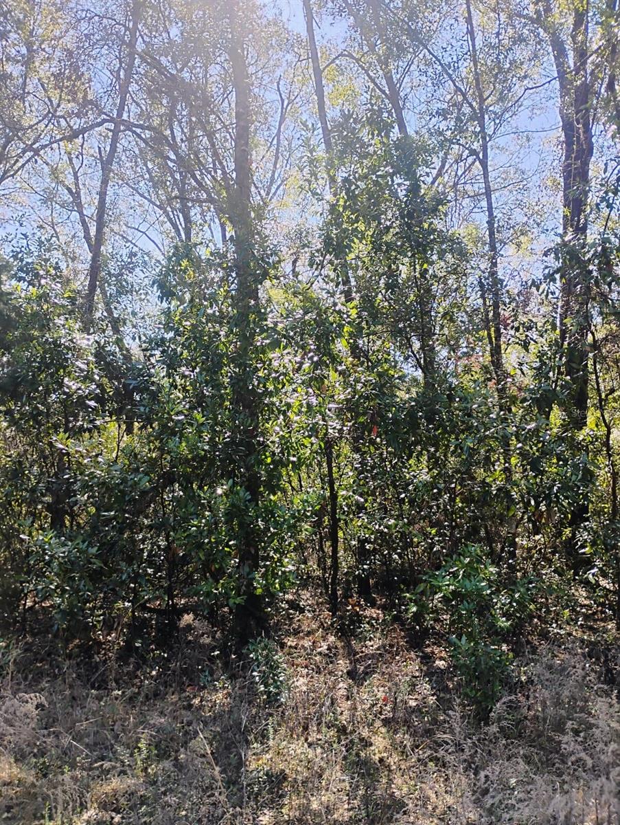 0 282nd Ter Property Photo