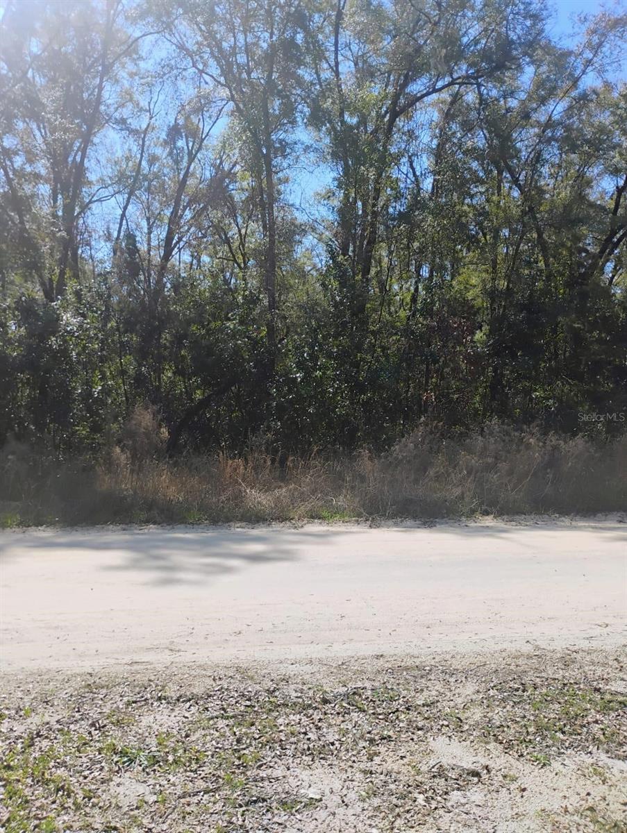 0 282nd Ter Property Photo 3