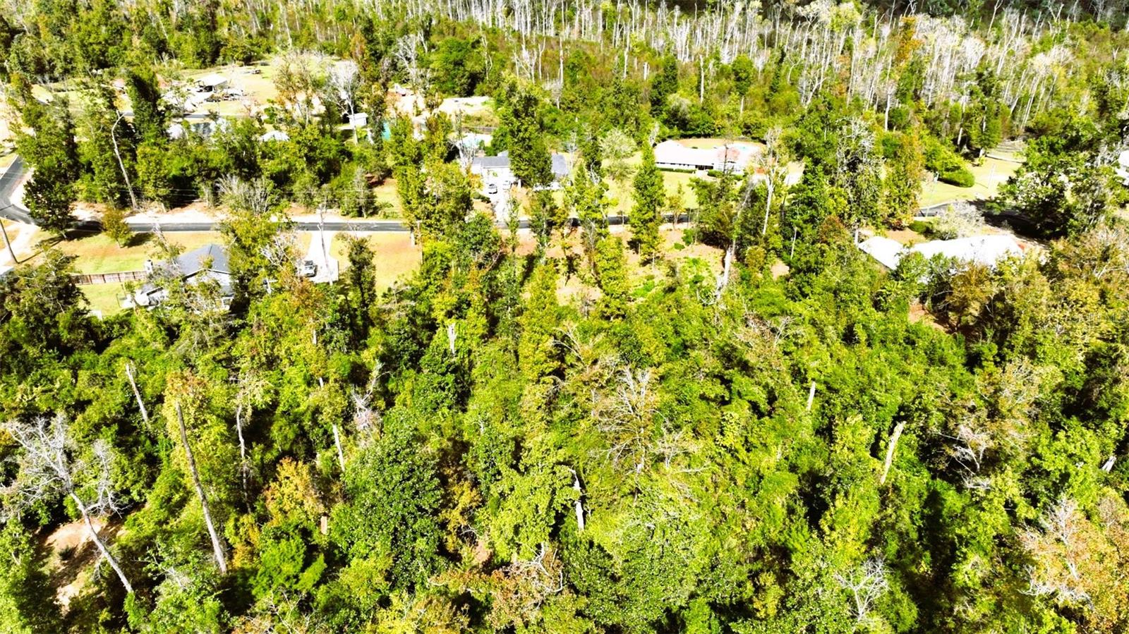 Angela Dr Property Photo 10