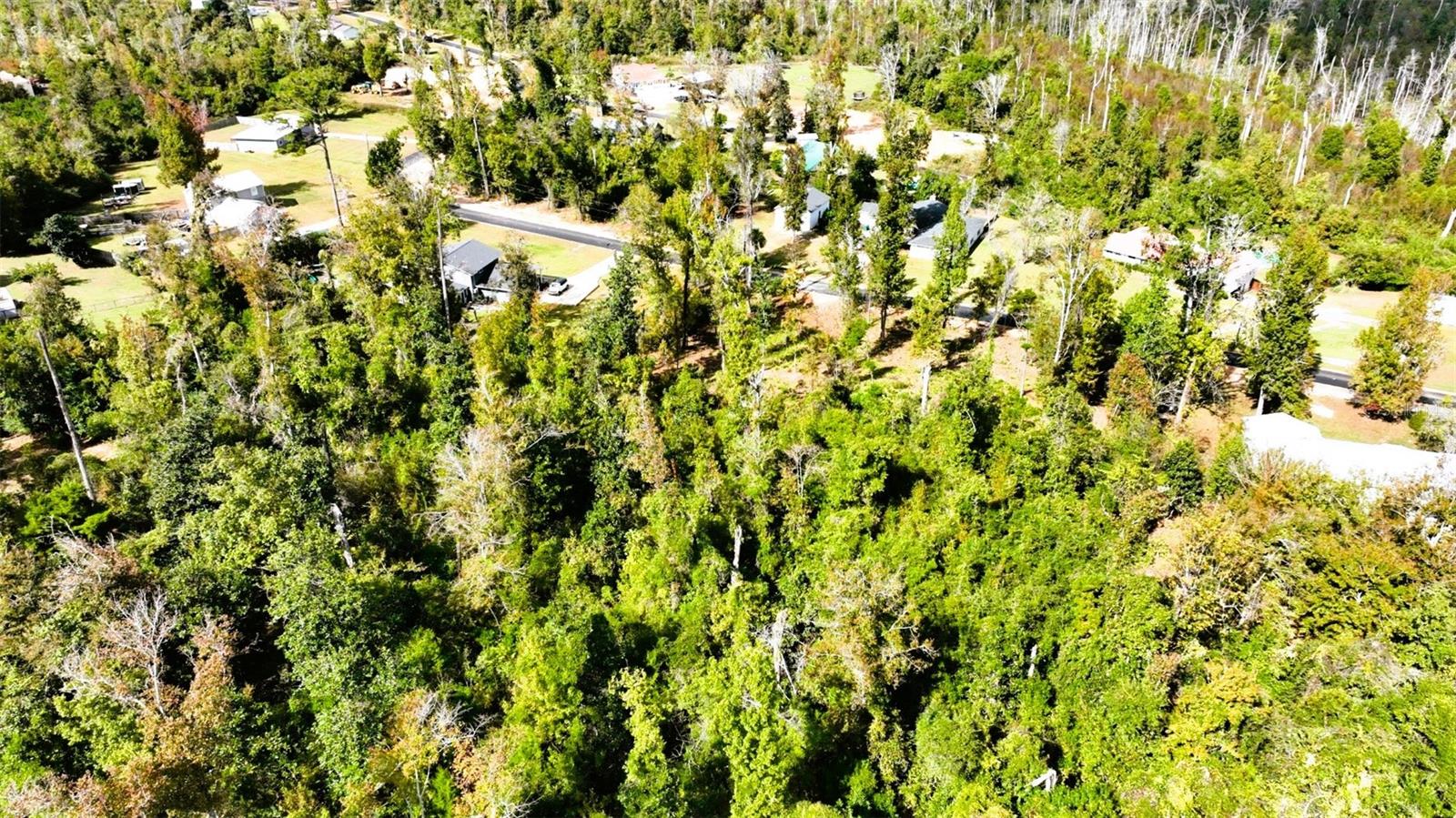Angela Dr Property Photo 11