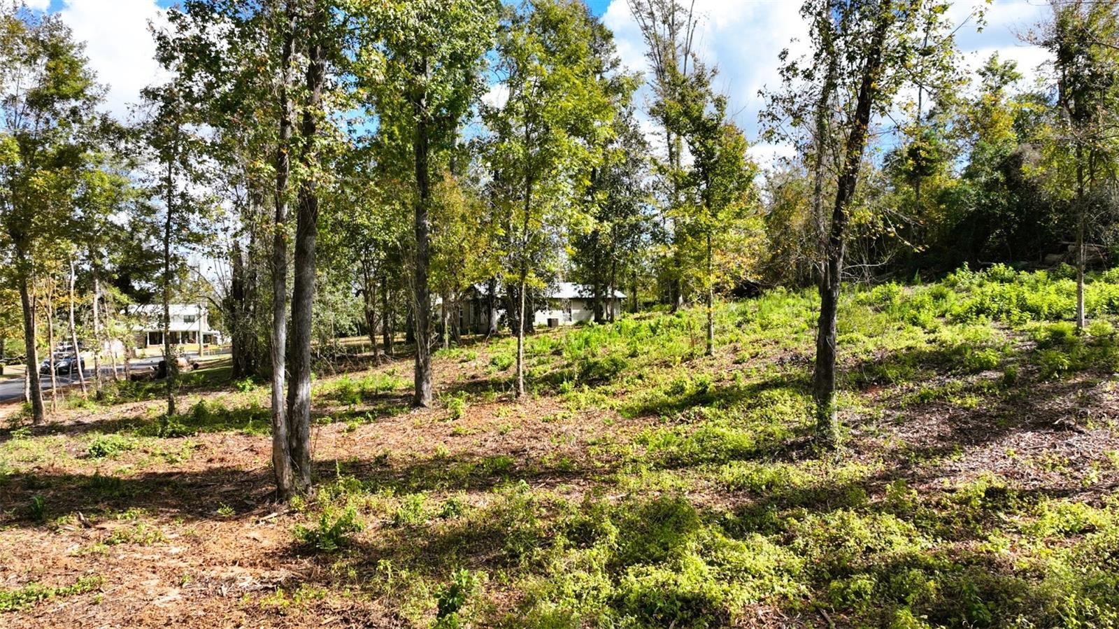 Angela Dr Property Photo 40