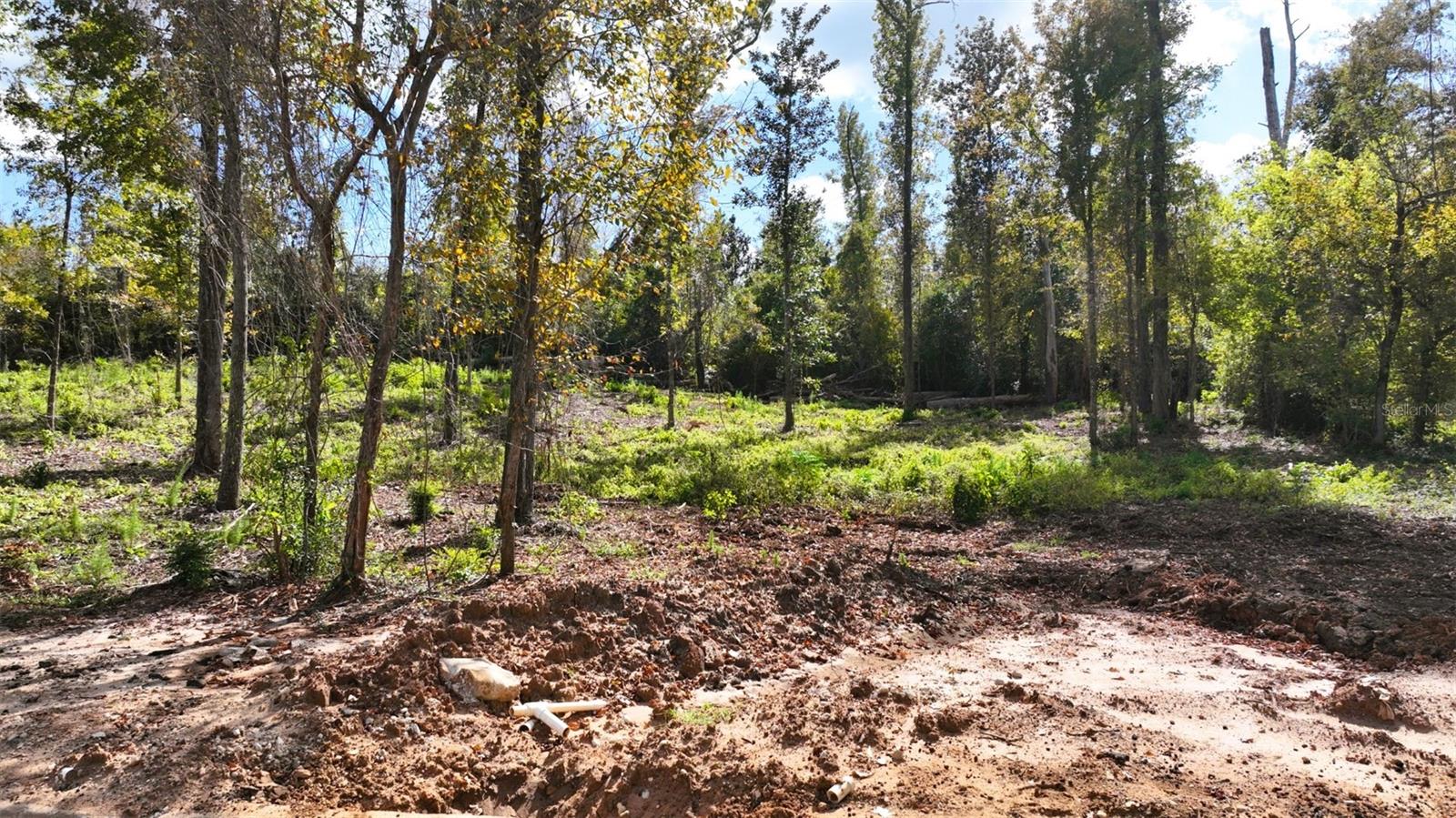 Angela Dr Property Photo 44