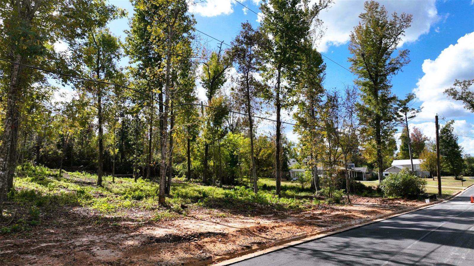 Angela Dr Property Photo 45